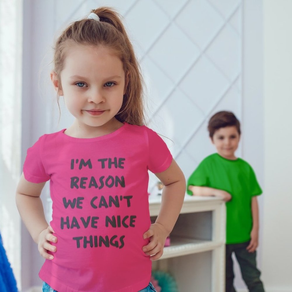 I'm the reason we can’t have nice things t shirt